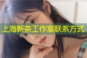 上海新茶工作室首推全新原创茶饮系列，引领茶界新风潮！