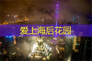 聚会新地标：上海茶庄的时尚选择